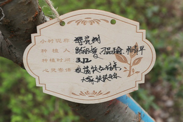 IMG_6688_看圖王 IMG_6688_看圖王